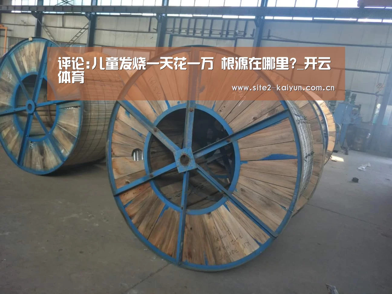 开云体育