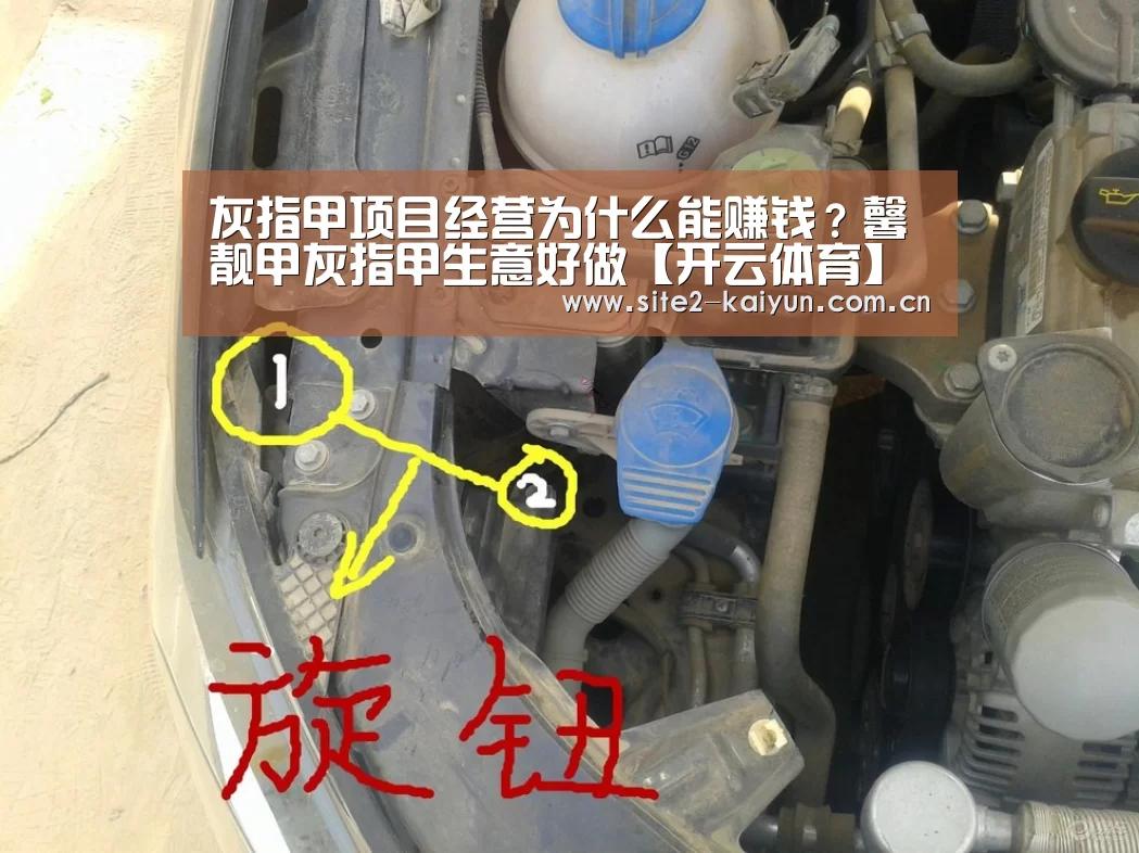 灰指甲项目经营为什么能赚钱?馨靓甲灰指甲生意好做【开云体育】(图1) 开云体育
