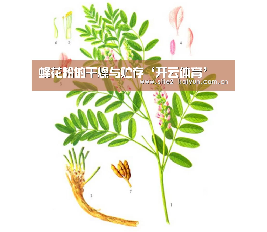 开云体育