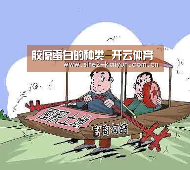 开云体育