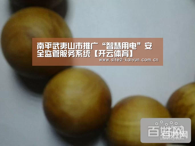 南平武夷山市推广“智慧用电”安全监管服务系统【开云体育】(图3) 开云体育