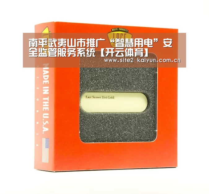 南平武夷山市推广“智慧用电”安全监管服务系统【开云体育】(图2) 开云体育